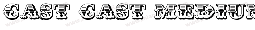 Cast Cast Medium字体转换